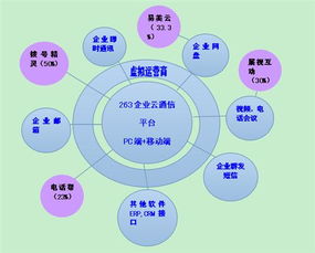 二六三 瞄準(zhǔn)未來，鑄就企業(yè)互聯(lián)網(wǎng)通信與信息服務(wù)王牌